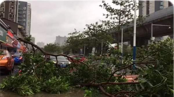 珠海臺(tái)風(fēng)災(zāi)害