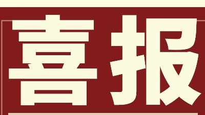 強勢開新局 勇奪開門紅 | 靈科超聲波Q1業績勁增14.96%創佳績